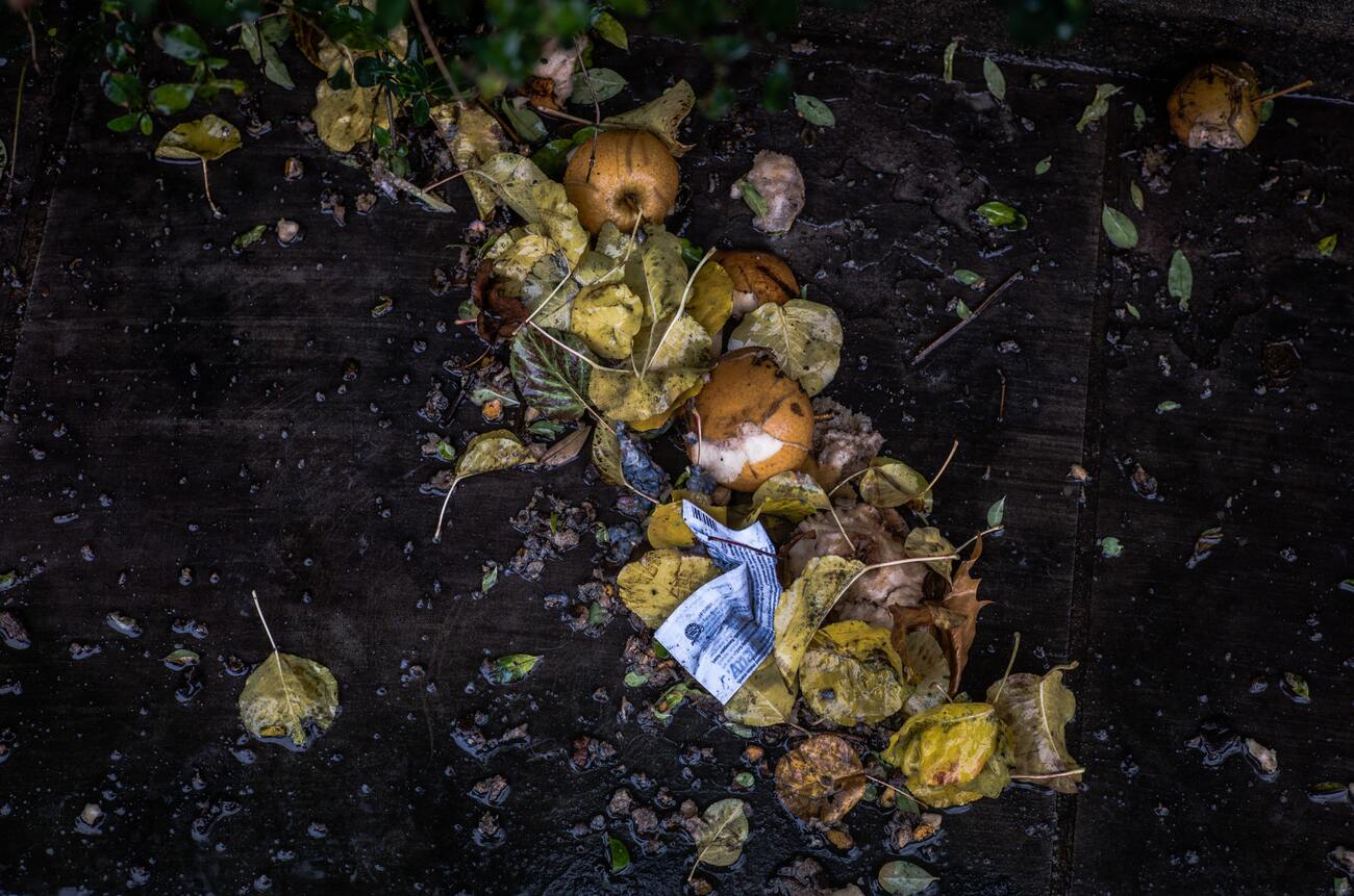 Compost de déchets végétaux