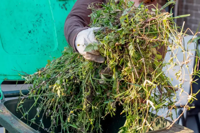 homme qui trie ses déchets verts dans une poubelle