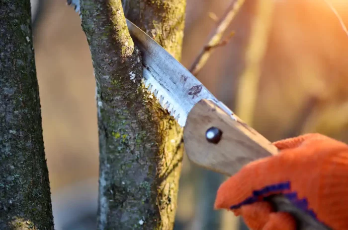 homme qui coupe une branche d'arbre
